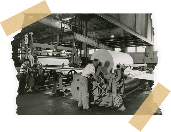 PackTech Production Line